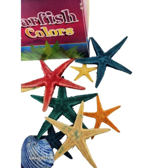 Colorful Assorted Seashells & Starfish Decoration Set - Picture 4 of 5